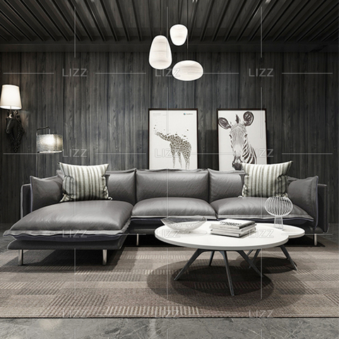 Modernes Freizeit-Wohnzimmer-Ledersofa